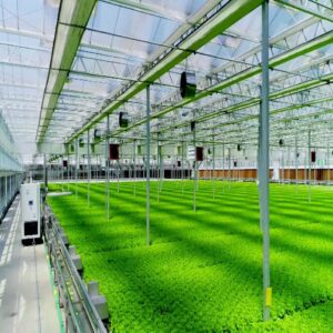 PP, PE Plastic Hollow Cross Section Plate Extrusion Line